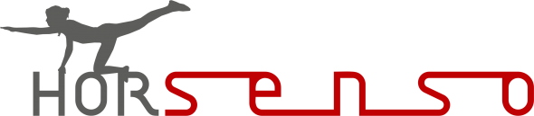 logo horsenso FINAL ciemne.png